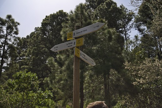 25 marzo La Cueva del Viento